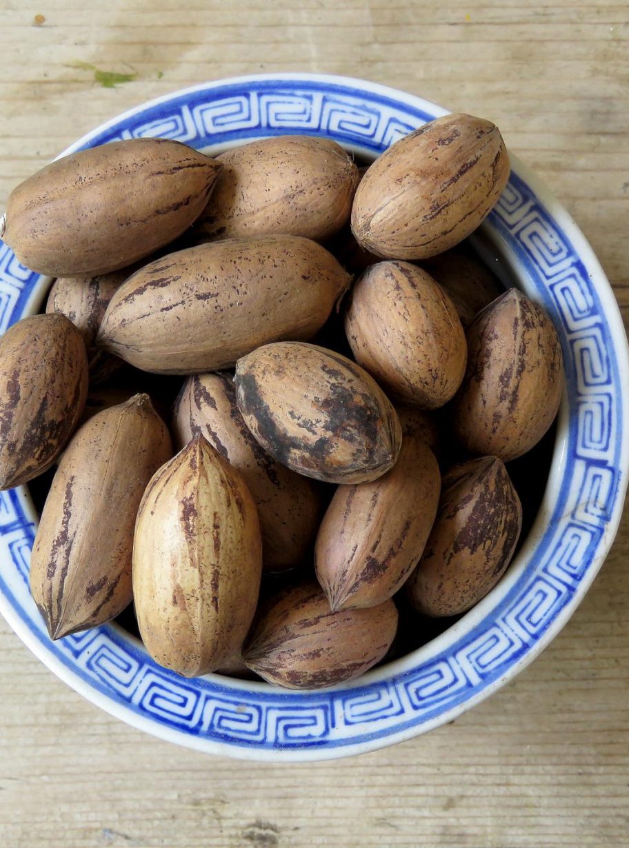 Bulk InShell Pecans The Pecan Barn